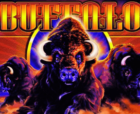 Buffalo