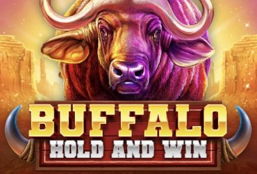 Buffalo Bold and Win